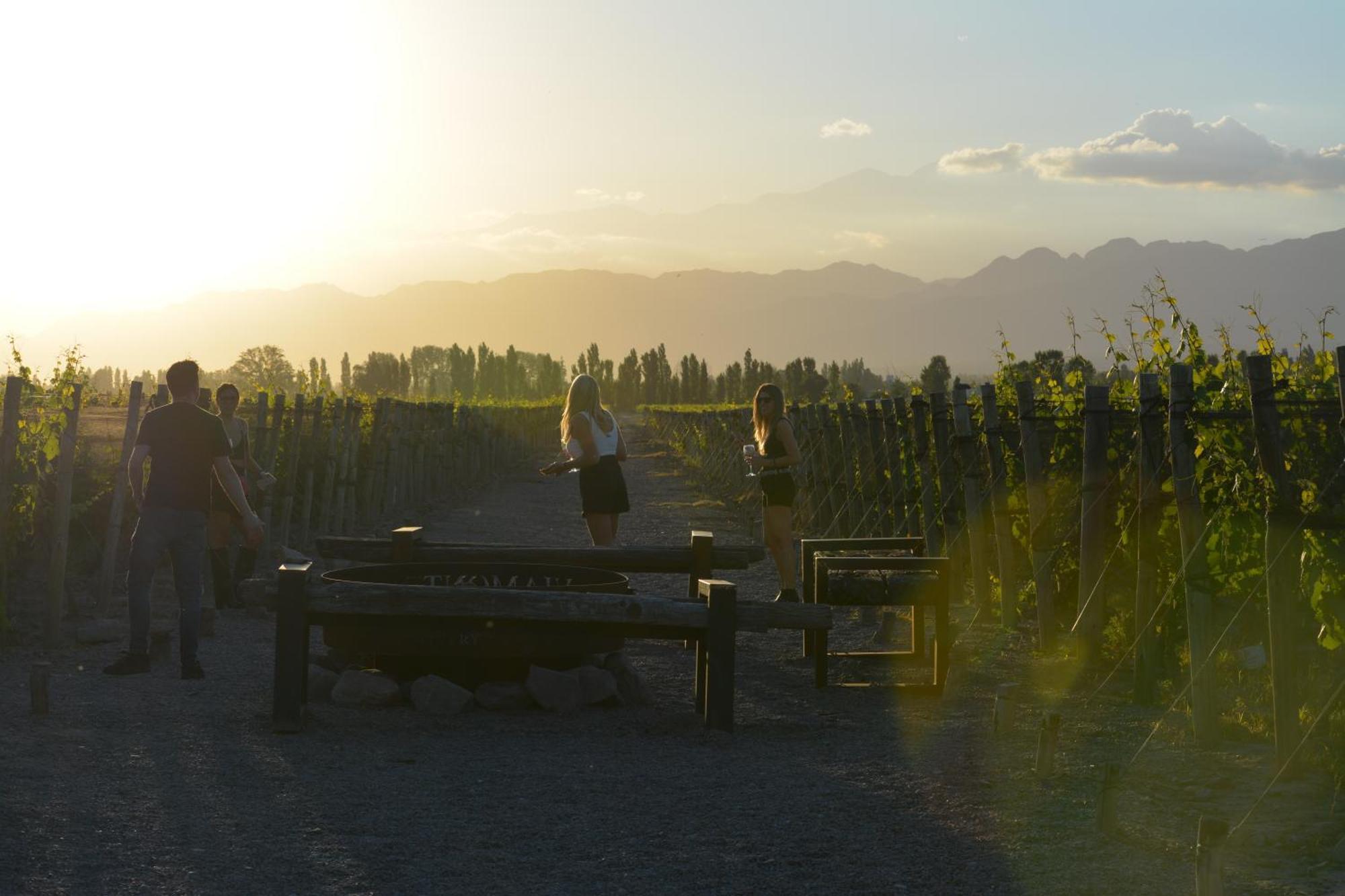 Viamonte Winery Lodge Chacras de Coria Kültér fotó